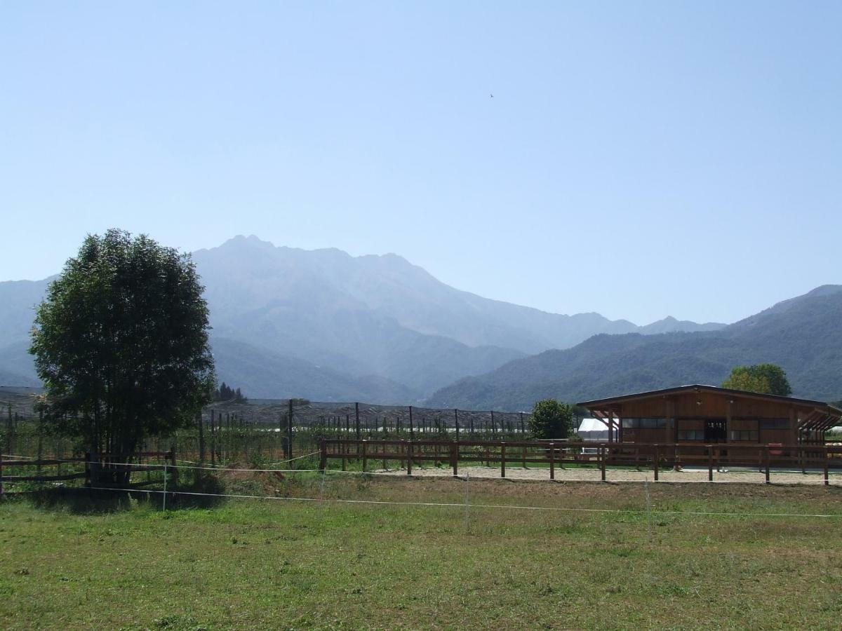 La Meridiana, Monolocale In Cascina Ristrutturata Boves Dış mekan fotoğraf